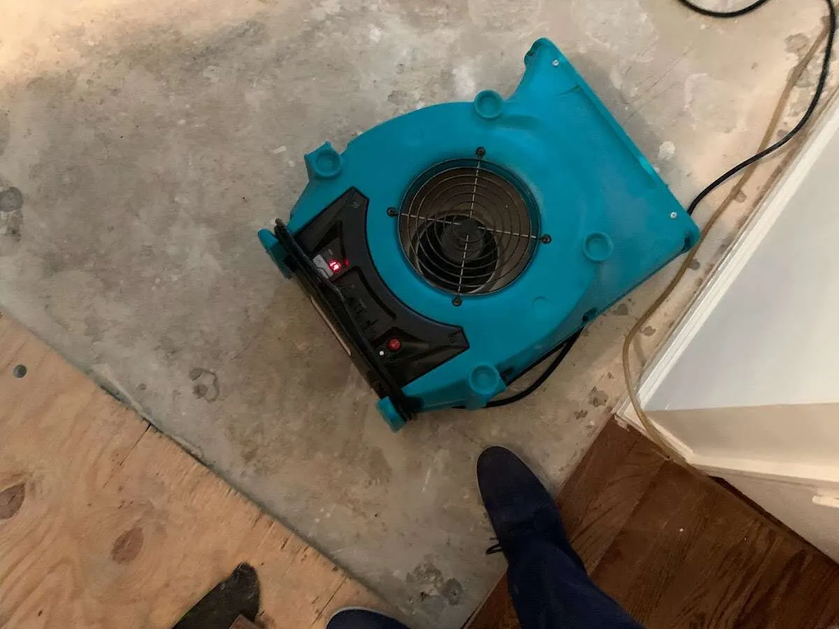 Air mover drying subfloor during Commercial Water Damage Restoration in Harwich